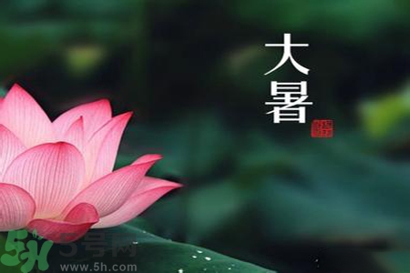 大暑為什么要吃羊肉？大暑吃羊肉的原因