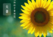 大暑是幾月幾日？大暑是什么意思？