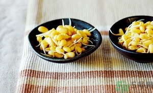 黃豆芽能涼拌嗎？涼拌黃豆芽的家常做法