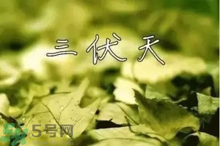 三伏天什么時(shí)候結(jié)束？三伏天是哪幾天？