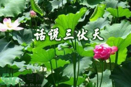 三伏天吃什么？三伏天傳統(tǒng)美食有哪些？