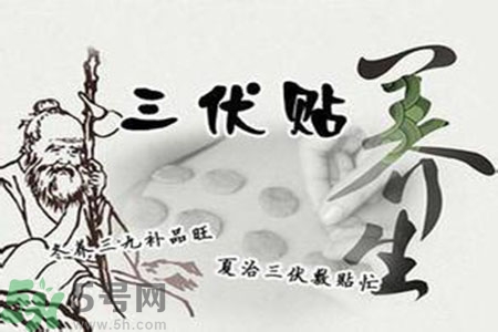 三伏貼什么時候開始貼？三伏貼怎么貼？