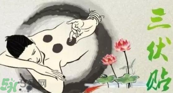 三伏貼的印子怎么去掉？三伏貼的印記多久才會(huì)消失？