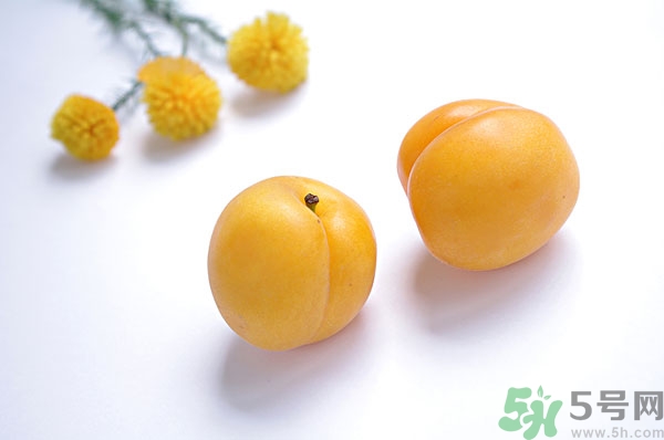 吃杏子能減肥嗎？杏子的功效與作用