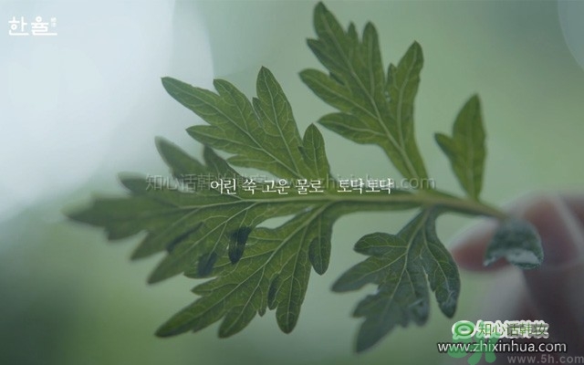 韓律艾草補水鎮(zhèn)靜噴霧怎么樣？好用嗎？