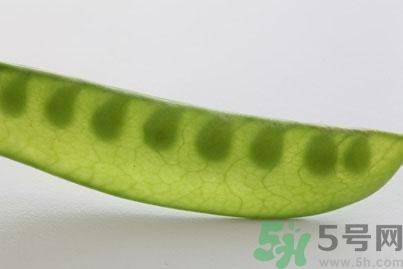 煮豌豆怎么做好吃？煮豌豆的做法