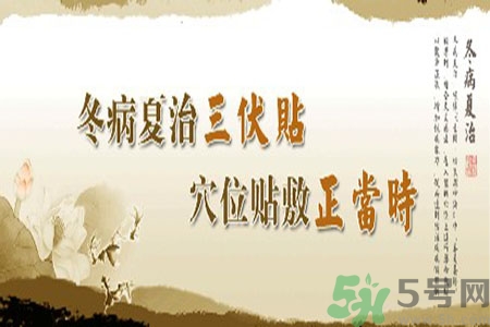 腎病可以貼三伏貼嗎？腎病三伏貼貼哪里？