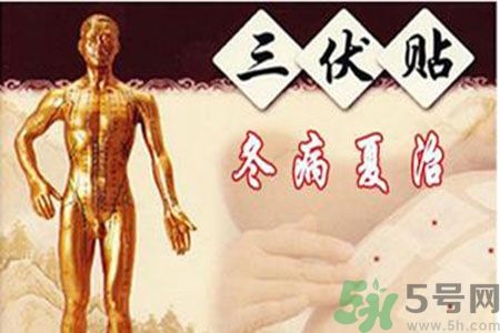 胃病可以貼三伏貼嗎？胃病貼三伏貼貼哪里？
