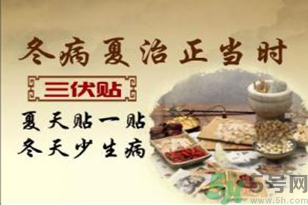 胃病可以貼三伏貼嗎？胃病貼三伏貼貼哪里？