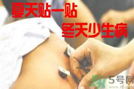 肝炎貼三伏貼有用嗎？肝病貼三伏貼貼哪里？