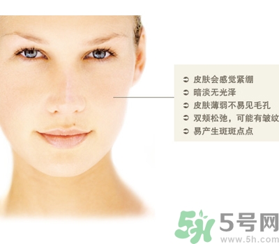 干性皮膚用什么洗面奶？干性皮膚該怎么保養(yǎng)？