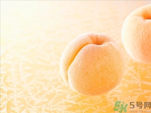 杏子不太熟能吃嗎？杏子不太熟怎么辦？