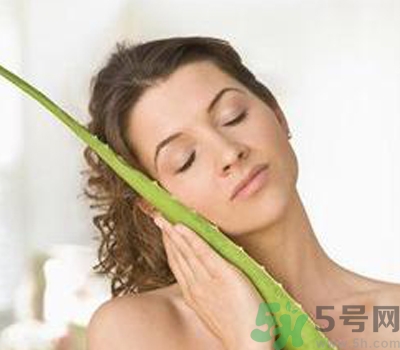 蘆薈膠會(huì)堵塞毛孔嗎？蘆薈膠應(yīng)該怎么用？