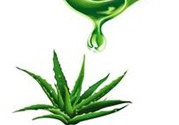 蘆薈膠可以當(dāng)睡眠面膜用嗎?蘆薈膠坐睡眠面膜效果怎么樣?