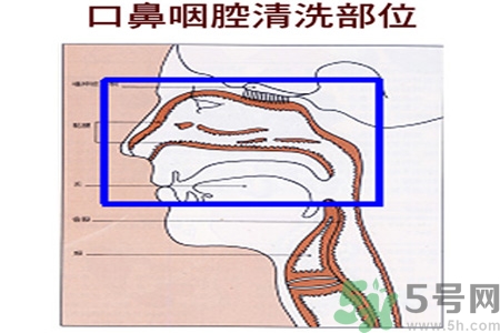 鼻炎能用生理鹽水清理鼻腔嗎？鼻炎能不能用生理鹽水清理鼻腔？