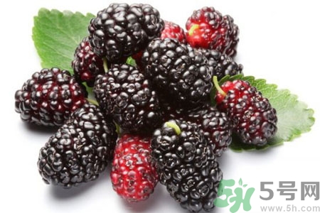桑葚怎么洗？桑葚怎么保存？