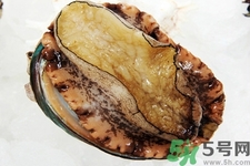 鮑魚如何挑選？鮑魚如何保存？