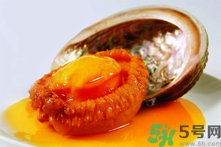 鮑魚如何挑選？鮑魚如何保存？