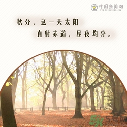 立秋是秋分嗎？立秋和秋分的區(qū)別？