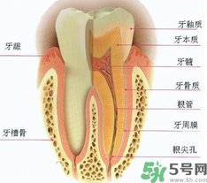 牙齒根管治療多少錢(qián)？根管治療一顆要多少錢(qián)？
