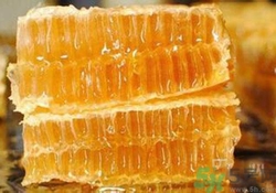 蜂膠是什么東西？蜂膠可以長期服用嗎？