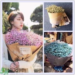 七夕送女朋友什么花？七夕送女朋友花送幾朵？
