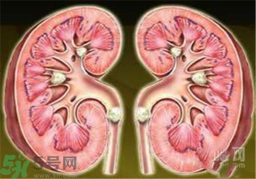 慢性腎炎能治好嗎？慢性腎炎能活多久？