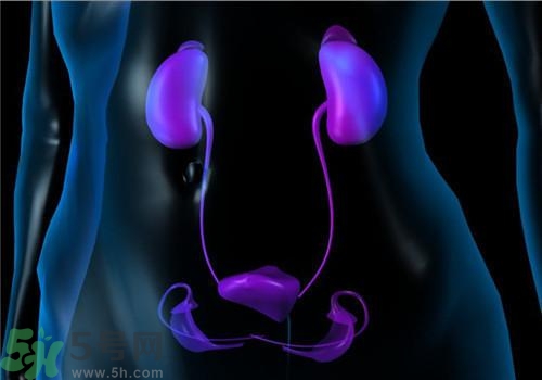 慢性腎炎能治好嗎？慢性腎炎能活多久？