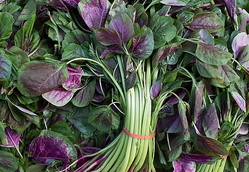 莧菜的營養(yǎng)價(jià)值 莧菜的功效與作用及食用方法