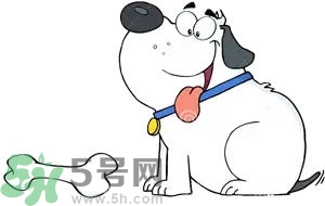 七夕單身狗怎么過？單身怎么過七夕？