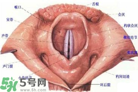 慢性咽炎的發(fā)病因素？慢性咽炎的并發(fā)癥有哪些？