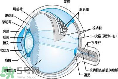 近視眼是什么？近視眼的癥狀有哪些？