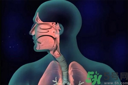 過敏性鼻炎的高發(fā)人群有哪些？如何預(yù)防過敏性鼻炎？