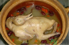 孕婦可以喝鴿子湯嗎？鴿子湯的功效與作用