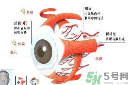白內(nèi)障的護(hù)理措施是什么？白內(nèi)障的飲食護(hù)理有哪些？