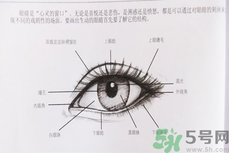 白內(nèi)障的發(fā)病因素是什么?白內(nèi)障并發(fā)癥有哪些? 白內(nèi)障的發(fā)病因素是什么?白內(nèi)障并發(fā)癥有哪些?