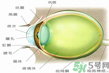 青光眼的治療方法有哪些？青光眼可以哪些藥物治療？