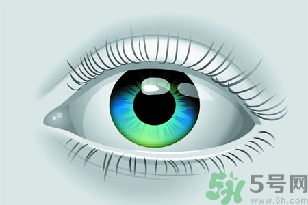 青光眼的高發(fā)人群有哪些？如何預(yù)防青光眼？