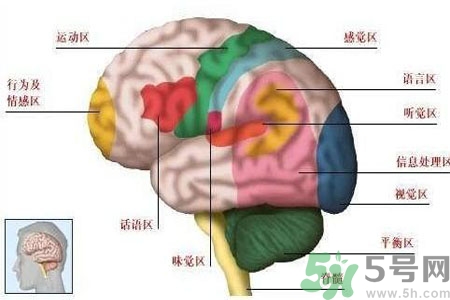 腦出血的發(fā)病因素是什么？腦出血的并發(fā)癥有哪些？