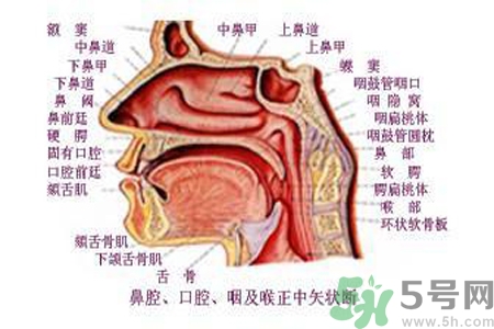 鼻咽癌的日常措施是什么？鼻咽癌注意的飲食有哪些？