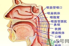 鼻咽癌的日常措施是什么？鼻咽癌注意的飲食有哪些？