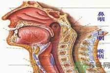 鼻咽癌的治療方法是什么？鼻咽癌可以用什么藥物治療？