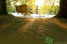 處暑為什么要吃鴨？處暑吃鴨的好處有哪些？