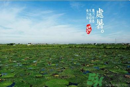 處暑出生的人怎么取名？處暑出生的人的命運(yùn)？