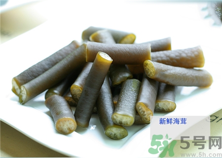 冰筍是什么?南極冰筍長(zhǎng)什么樣子?