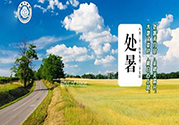 處暑出生的人怎么取名？處暑出生的人的命運？