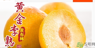 恐龍蛋水果怎么吃？恐龍蛋水果皮能吃嗎？