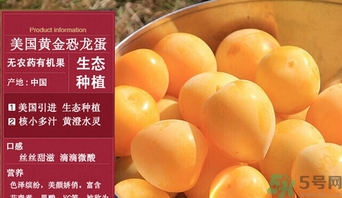 恐龍蛋水果怎么吃？恐龍蛋水果皮能吃嗎？