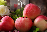孕婦可以吃嘎啦果嗎？嘎啦果的禁忌