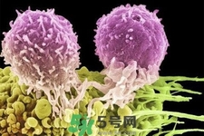 不宜過多食用辣椒的人群有哪些？夏天吃辣椒的好處有哪些？